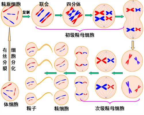 2026湖南浏阳市可以做三代试管吗？,辅助生殖中心代孕